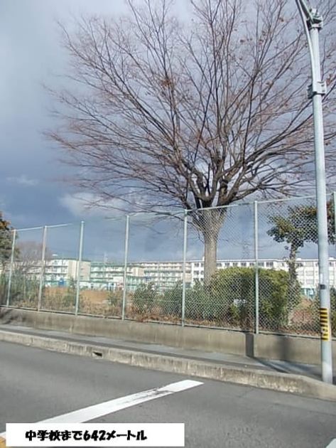 Naikan17 20131215000000 945x630