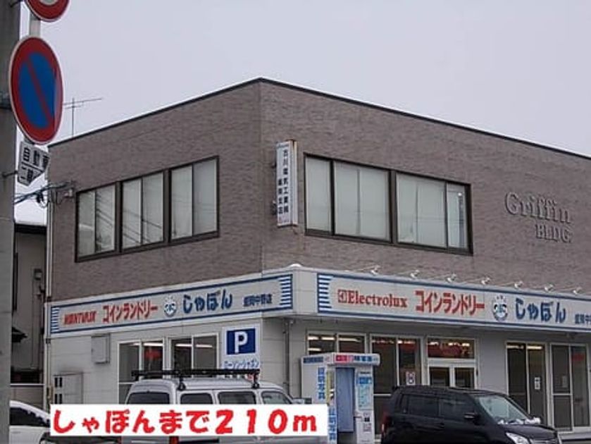 Naikan17 20201023000000 945x630