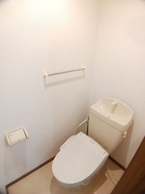 Naikan8 20261026000000 945x630