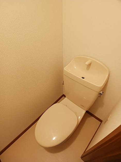 Naikan7 20260915000000