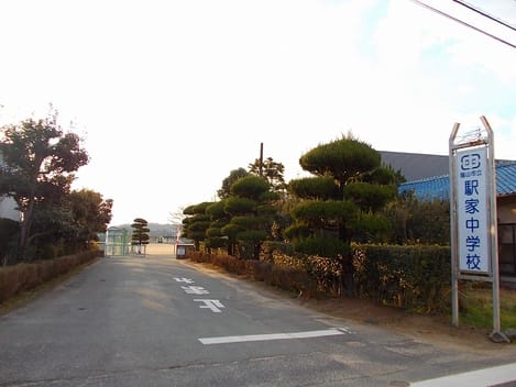 Naikan13 20210618000000
