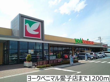 Naikan15 20170208000000