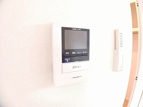 Naikan11 20250129000000