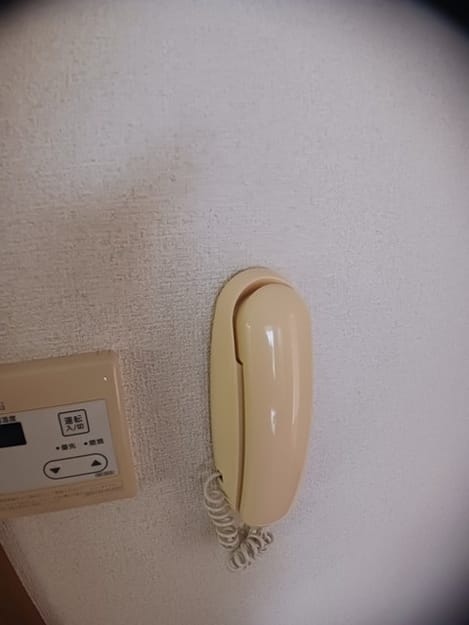 Naikan11 20241008000000