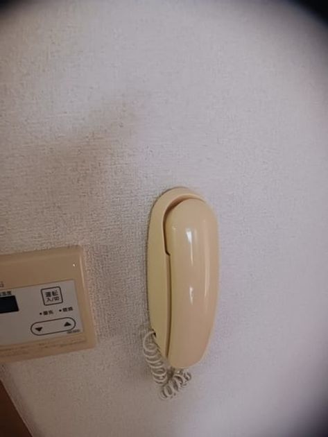 Naikan11 20241008000000 945x630