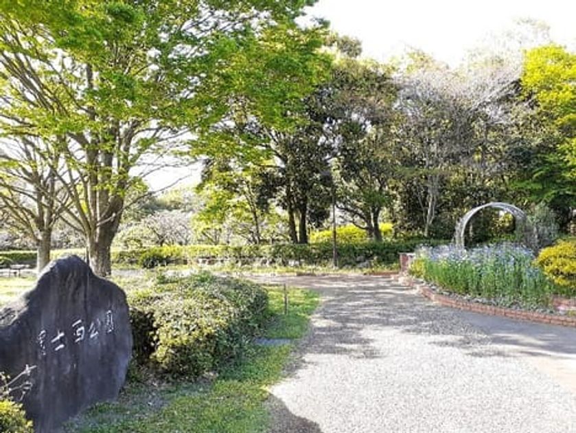 Naikan15 20250314000000 945x630