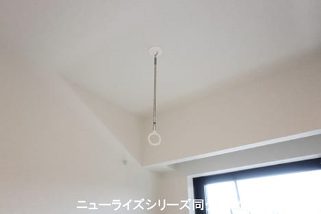 Naikan11 20260821000000