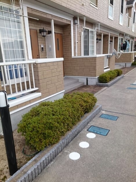 Naikan11 20190224000000