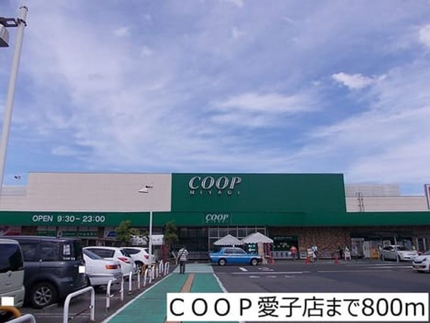 Naikan16 20170616000000 945x630