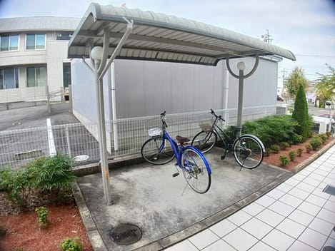 Naikan9 20241127000000