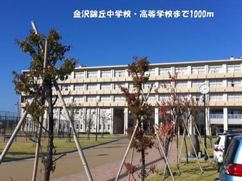Naikan17 20140113000000 945x630