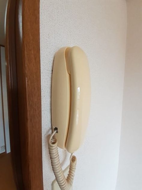 Naikan8 20230404000000 945x630