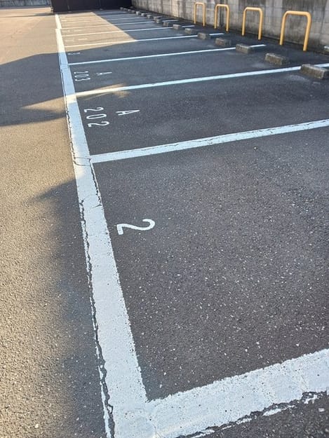 Naikan11 20241212000000