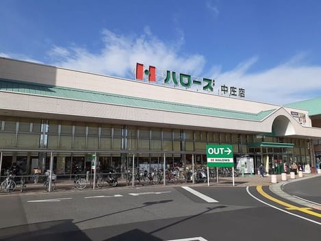 Naikan13 20210306000000