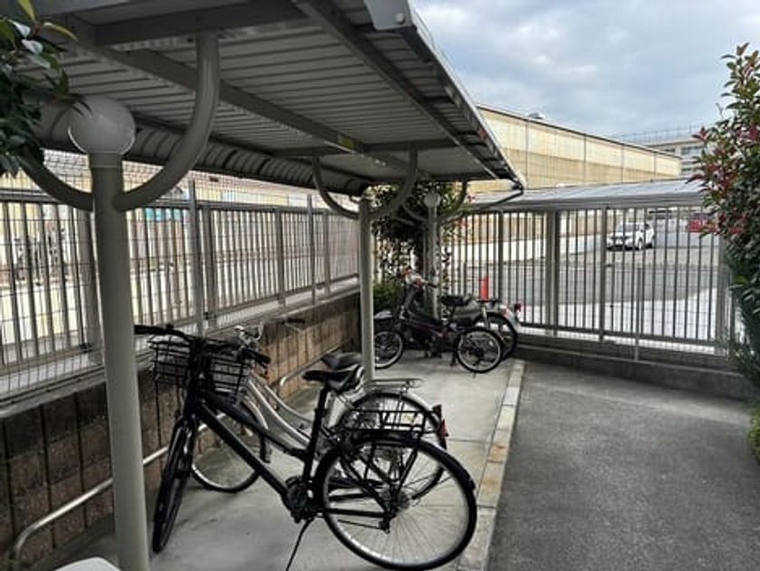 Naikan12 20241120000000 945x630