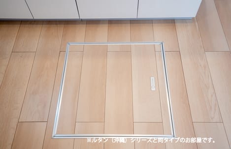 Naikan11 20260529000000