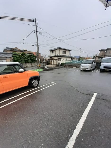 Naikan11 20241022000000