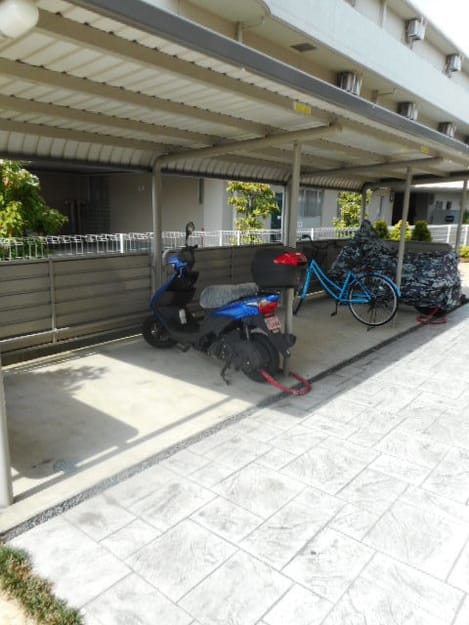 Naikan9 20200806000000