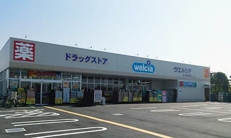 Naikan17 20211117000000