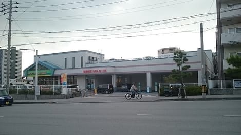 Naikan13 20260807000000