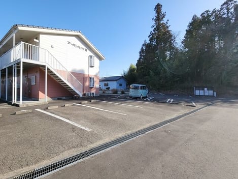 Naikan11 20250321000000