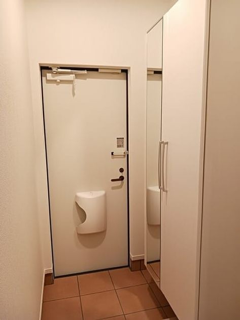 Naikan11 20250325000000 945x630