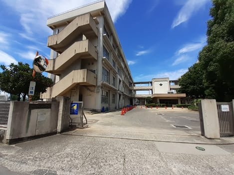 Naikan15 20260626000000