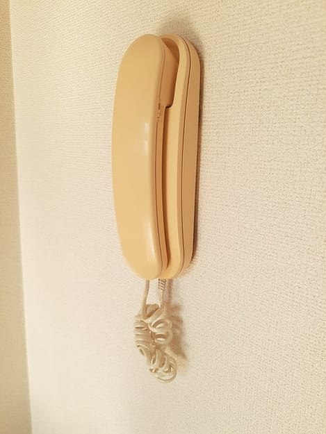 Naikan12 20230928000000