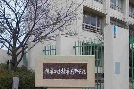 Naikan17 20250110000000