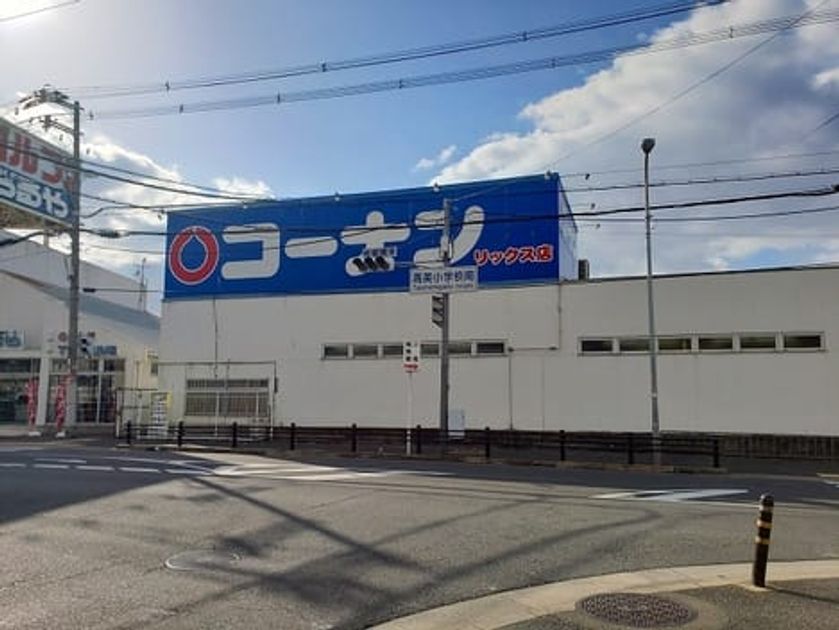 Naikan13 20251121000000 945x630