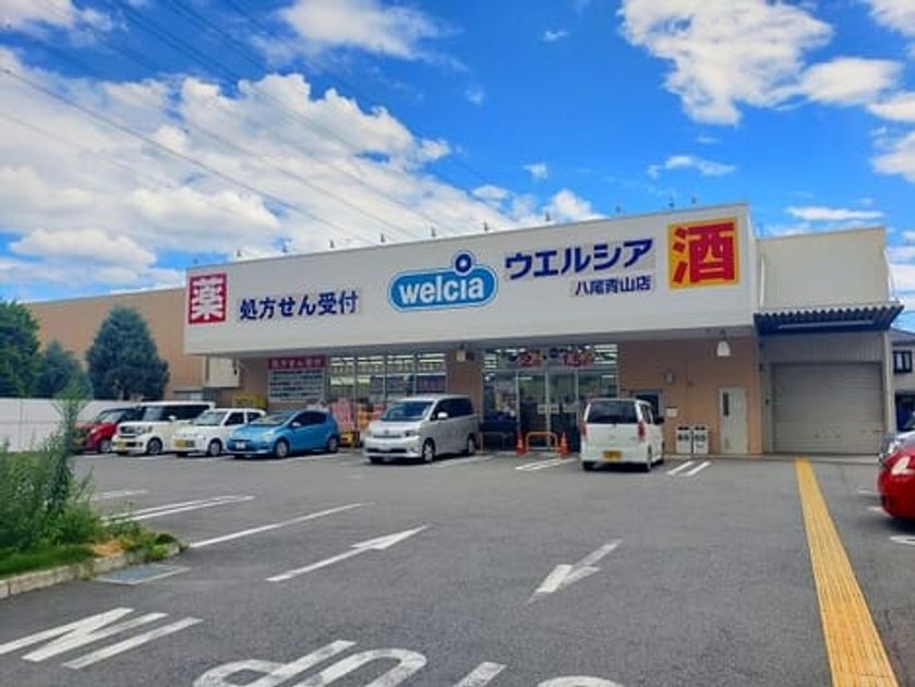 Naikan17 20251121000000 945x630