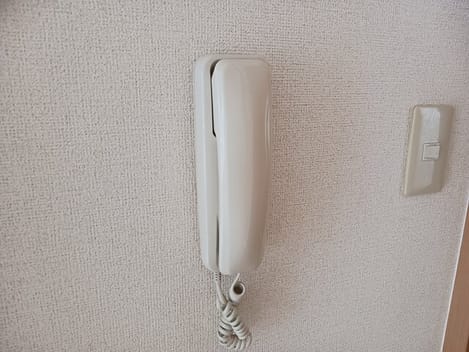 Naikan9 20250806000000