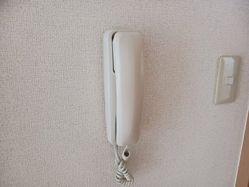 Naikan9 20250806000000 945x630