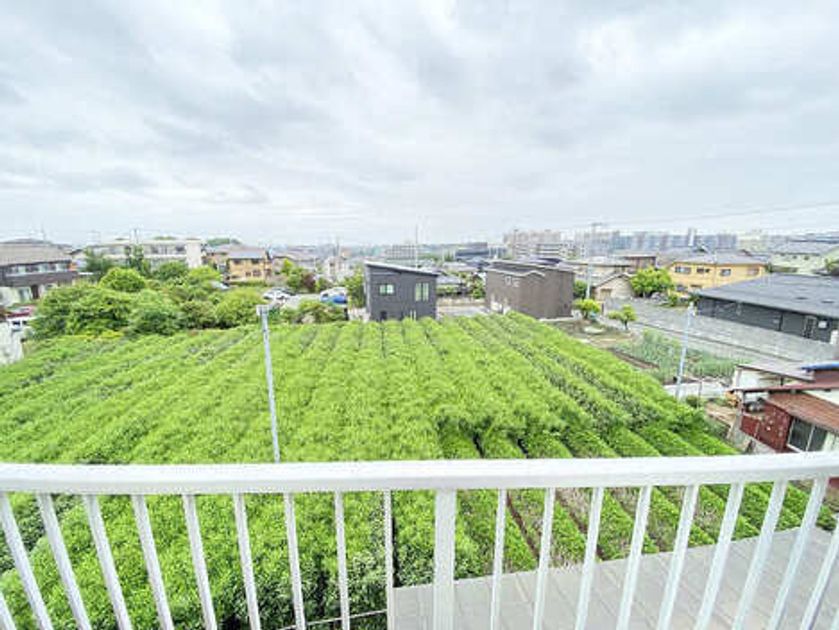 Naikan15 20250525012030 945x630