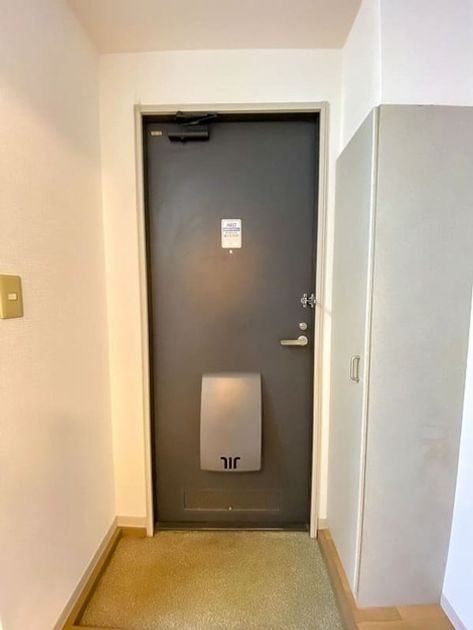 Naikan14 20251201225434 945x630