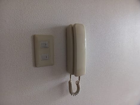 Naikan8 20250606000000