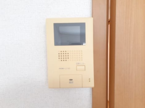 Naikan11 20230320000000
