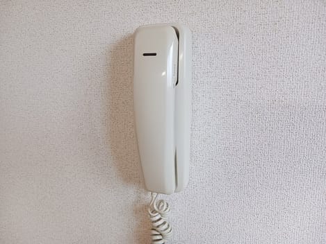 Naikan10 20250529000000