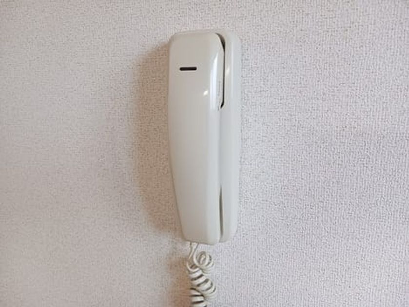 Naikan10 20250529000000 945x630