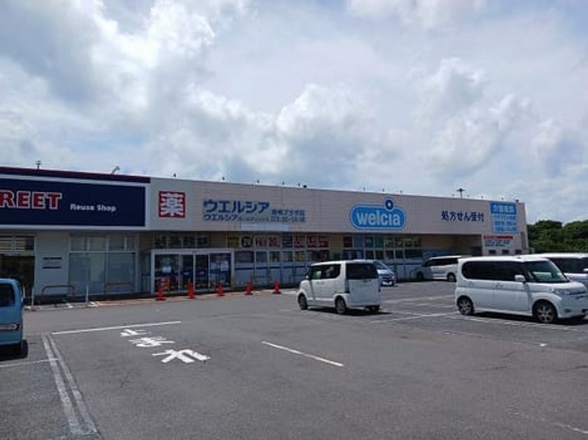 Naikan17 20251117000000 945x630