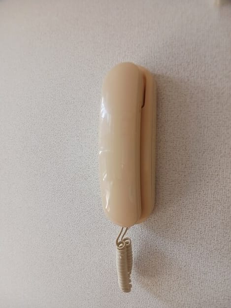 Naikan9 20250825000000