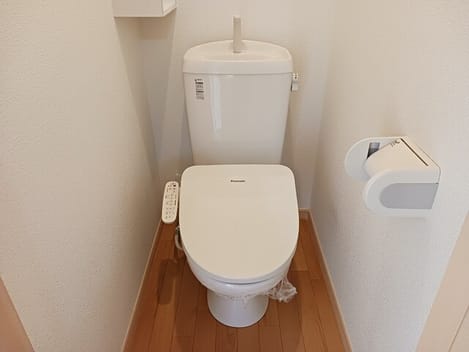 Naikan6 20260202000000