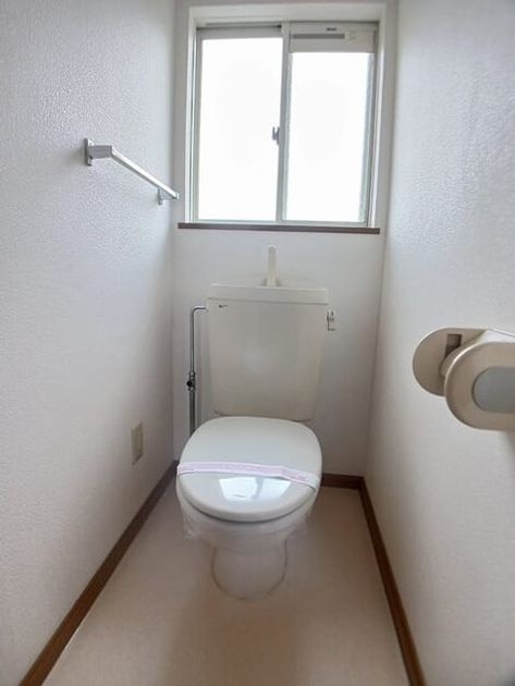 Naikan8 20260303000000 945x630