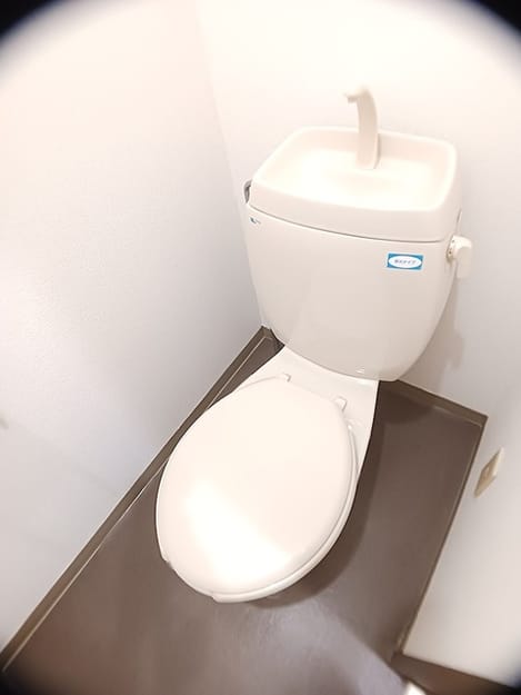 Naikan8 20260828000000