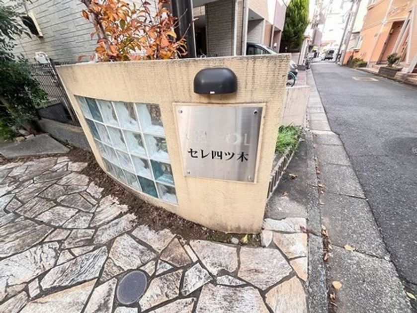 Naikan22 20251123225751 945x630