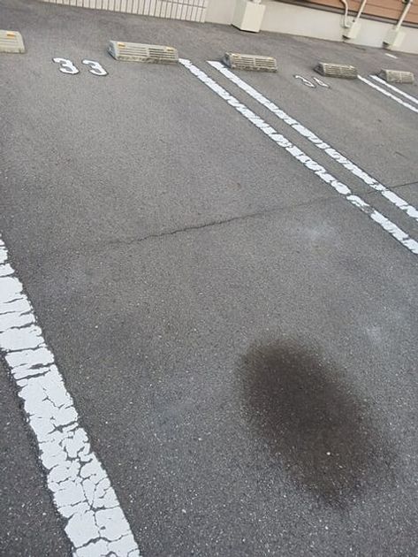 Naikan11 20260121000000 945x630