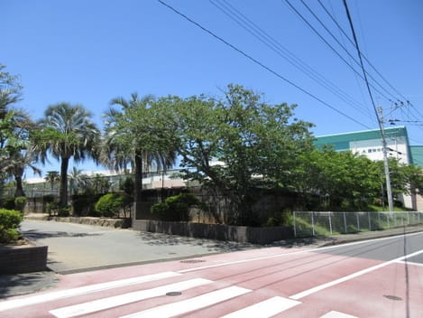 Naikan17 20220908000000