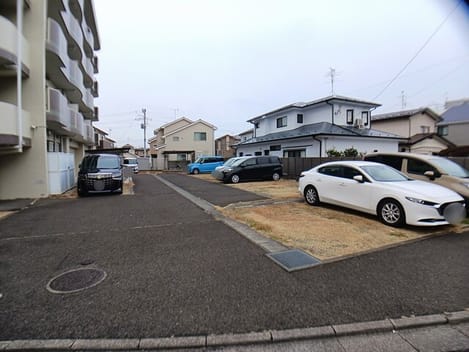 Naikan11 20260105000000