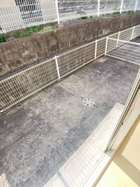 Naikan9 20260219000000 945x630
