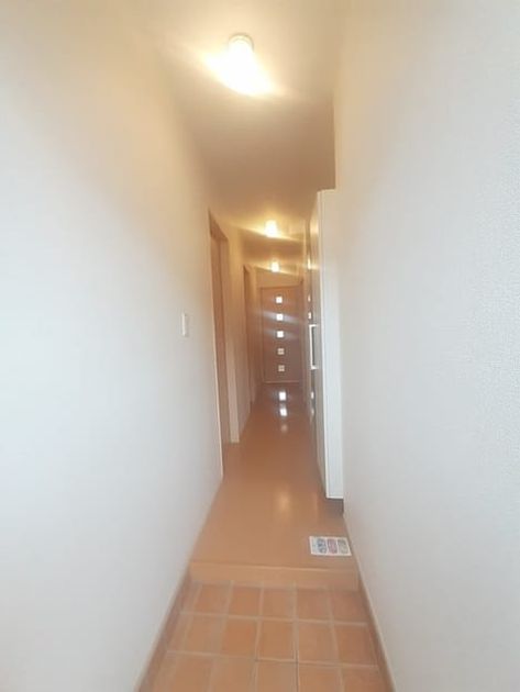 Naikan9 20240408000000 945x630